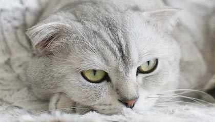 美“偷袭”授时中心失败，反咬炮制“盐台风”谎言，国安部做好准备