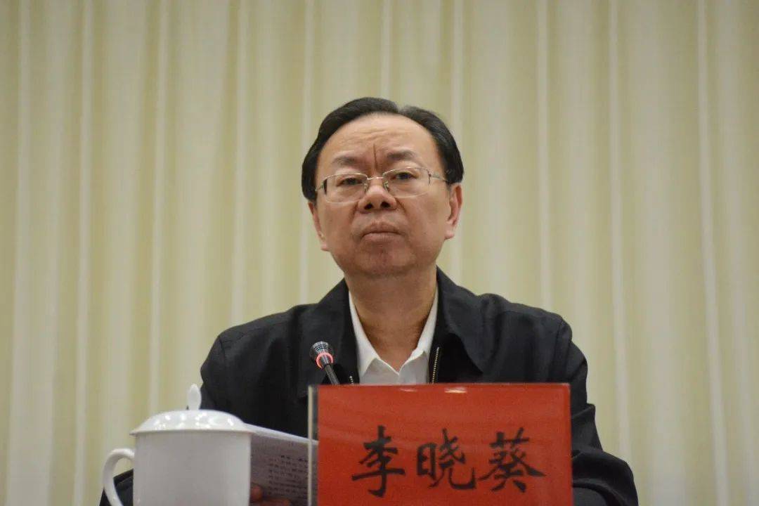 李晓葵，被查