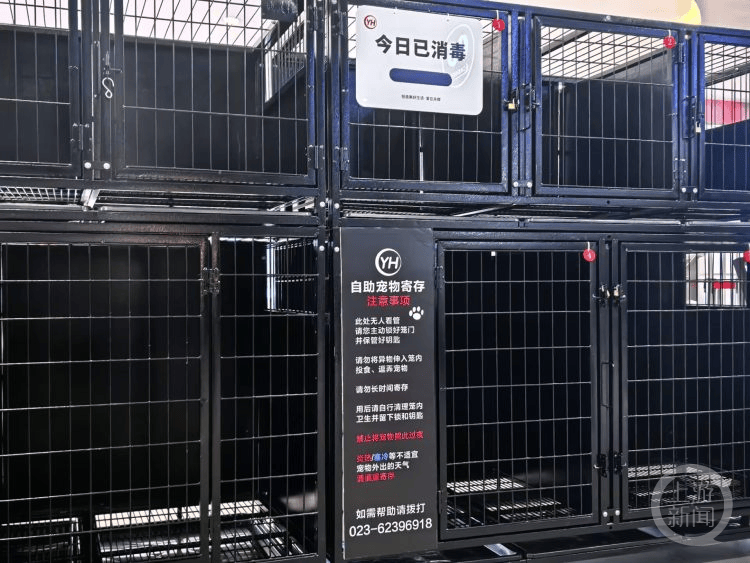 被胖东来“爆改”的重庆首店来啦！记者带你看“含胖量”如何
