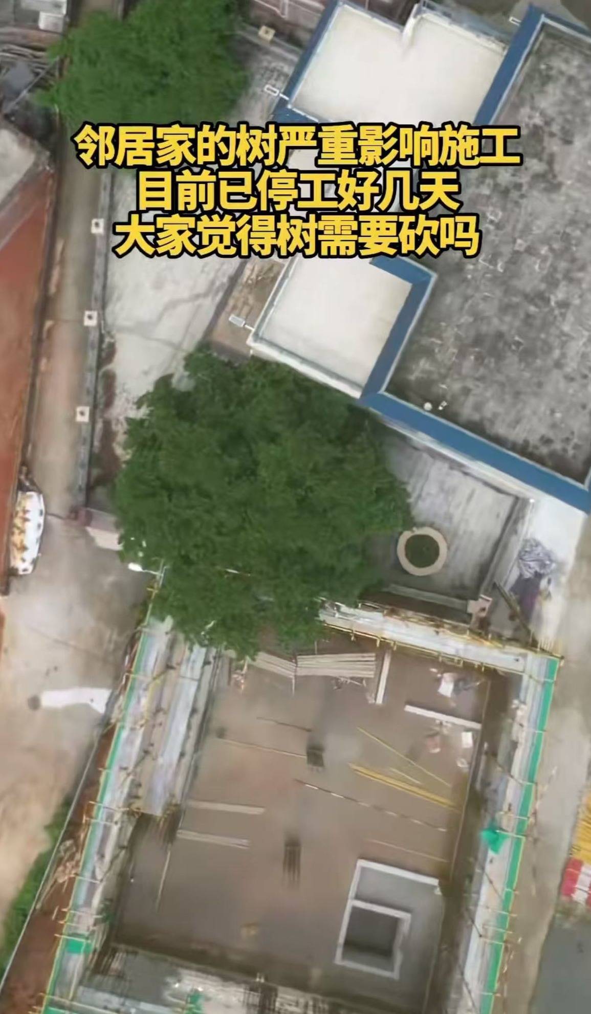 网友称全红婵新家施工因邻居家大树受阻,施工方:不存在该情况