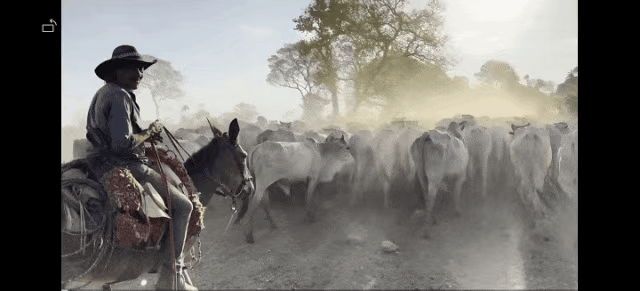 “我的探秘,才刚刚开始”成绝响!“海绵城市”之父俞孔坚巴西坠机遇难!其理念已在上海推进多年