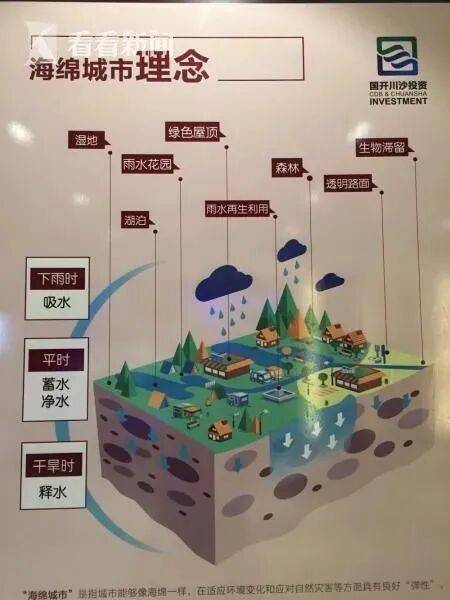 “我的探秘,才刚刚开始”成绝响!“海绵城市”之父俞孔坚巴西坠机遇难!其理念已在上海推进多年