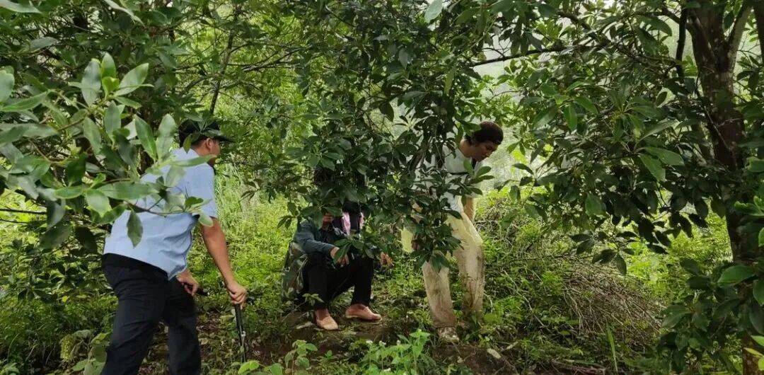 【气象科普】观日出,风景背后要避开这些风险!