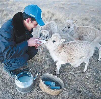 生态文明建设实现新进步(新时代画卷·决战决胜“十四五”)