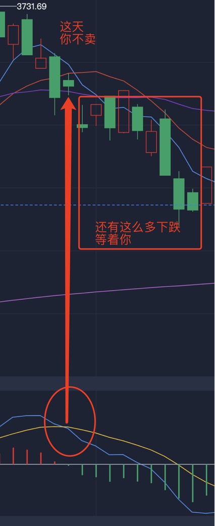 大东证券(大东交易平台)