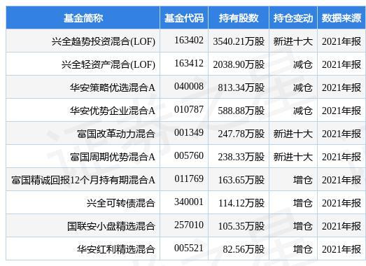 证券母基金(券商b的母基金)
