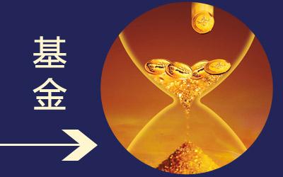 证券资金托管(证券资金托管骗局揭秘案例)