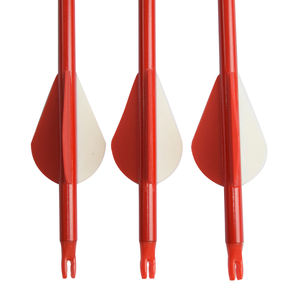 Nocks(nockscoot航空)